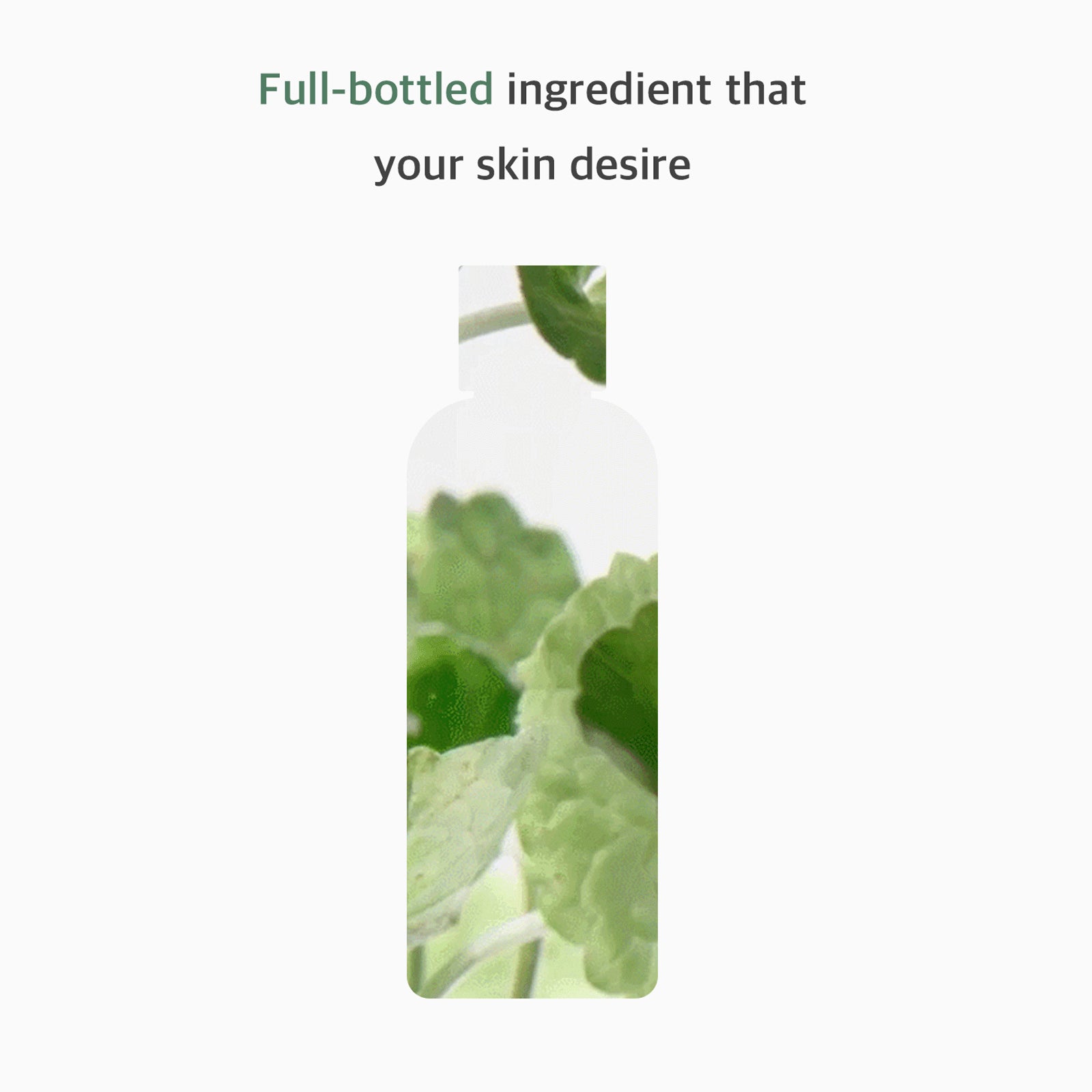MIXSOON Centella Asiatica Toner [300ml]